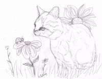 Among the wildflowers